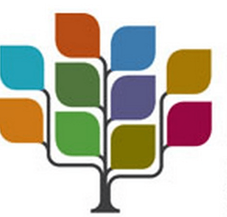 Town Planning reports